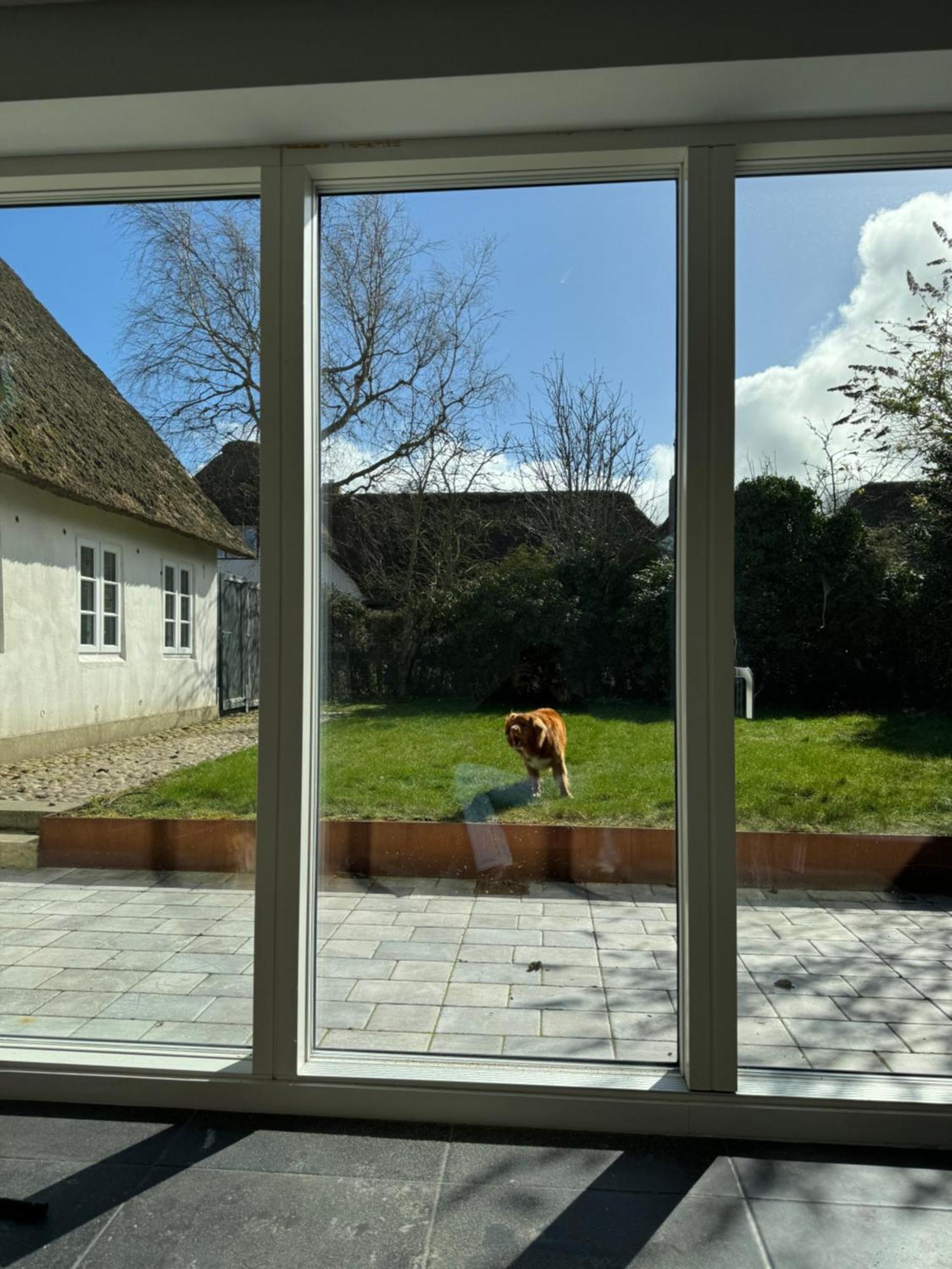 Ferienwohnung Kapitaenshaus Von 1712 - Neu Saniert Nieblum Exterior foto