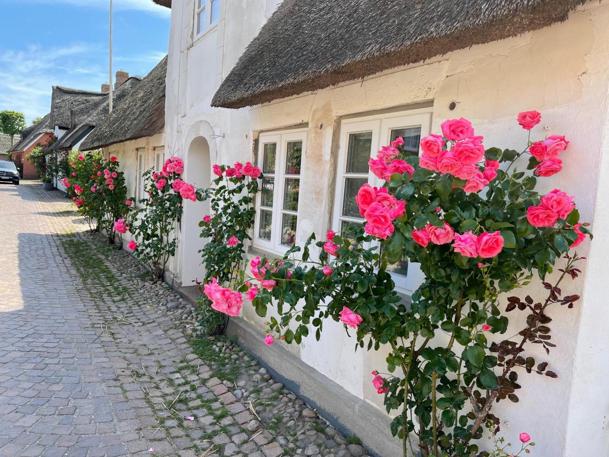 Ferienwohnung Kapitaenshaus Von 1712 - Neu Saniert Nieblum Exterior foto